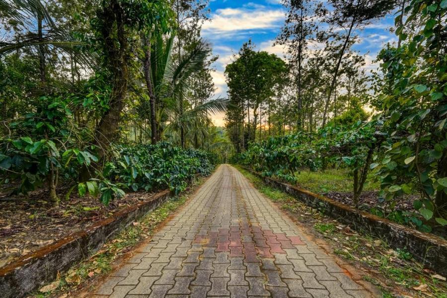 Coorg Bliss Estate Stay ماديكيري المظهر الخارجي الصورة