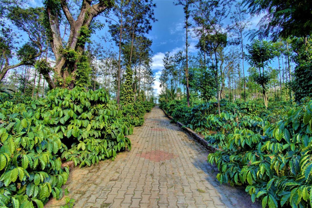 Coorg Bliss Estate Stay ماديكيري المظهر الخارجي الصورة