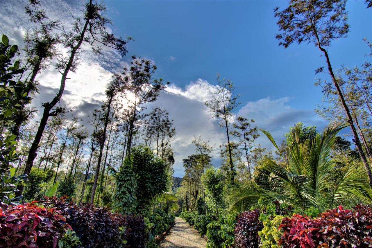 Coorg Bliss Estate Stay ماديكيري المظهر الخارجي الصورة