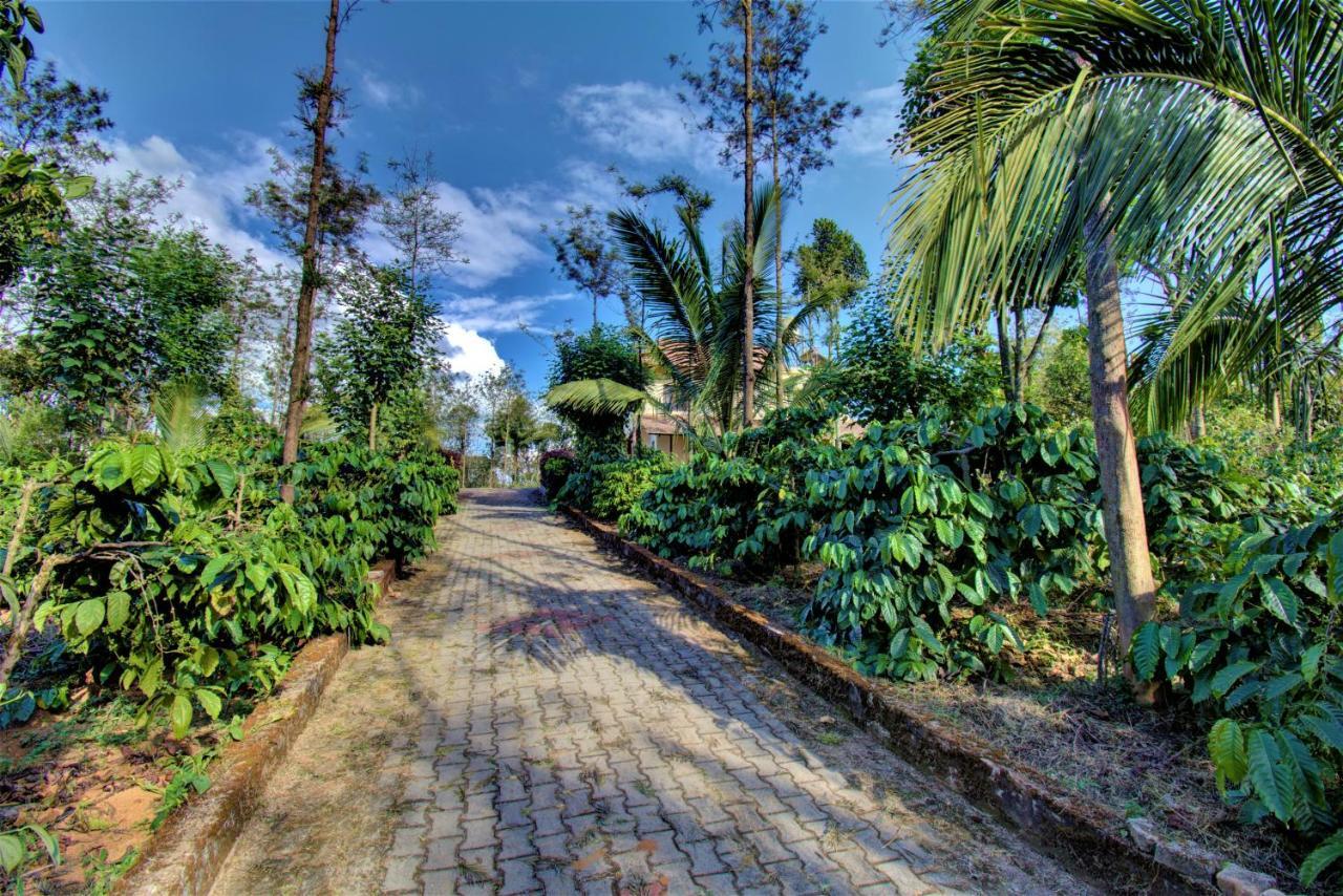 Coorg Bliss Estate Stay ماديكيري المظهر الخارجي الصورة